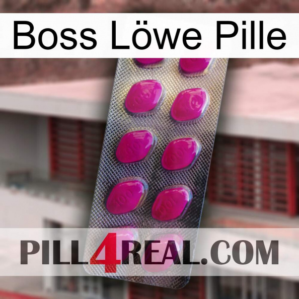 Boss Löwe Pille 09.jpg